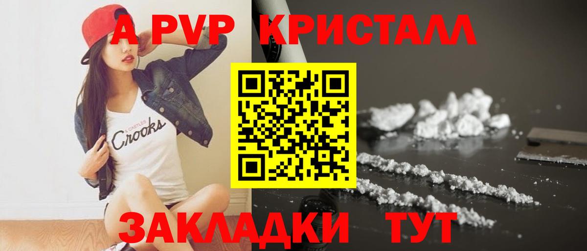 Альфа ПВП СК КРИС Кизилюрт